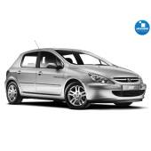 0 Kit Xenon Peugeot 307 - 2006 in poi - Xenon 35W e Led Posizione - 6000k Kit Xenon Peugeot 307 - 2006 in poi - Xenon 35W e Led Posizione - 6000k