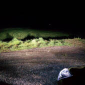 Kit Xenon Renault Clio IV - 2012 in poi - Xenon 35W e Posizione - 5300k