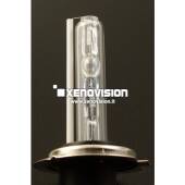 1 Kit Xenon Slim Moto H7 5000k 35W 64Bit Qualita Xenovision Bianco Solare Kit Xenon Slim Moto H7 5000k 35W 64Bit Qualita Xenovision Bianco Solare