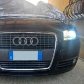 P21W: LED Bolt 6000k (Coppia)