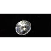 Triumph Speed Twin 900 2022