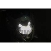 9 Luce Bagagliaio LED per DS DS 3 Crossback 2020 in poi: W5W X-Tee W5W (T10) LED X-Tee (Coppia)