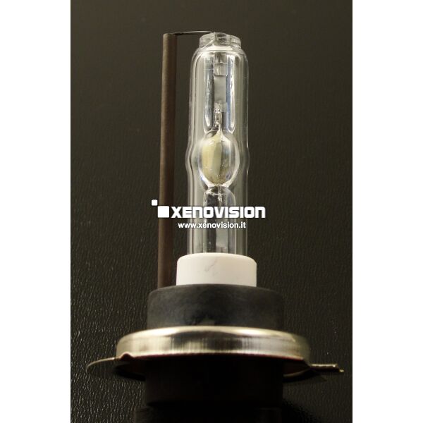 <p>[FINE SERIE]- Lampada <strong>PROFESSIONALE</strong> FocusPRO Korea H1, realizzata da Xenovision Italia.</p>