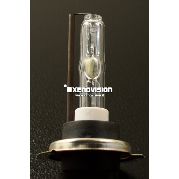 1 H7: Lampada HID Xenovision FocusPro 5300k <p>Bianco solare purissimo, geometria ottimizzata. Lampada H7 PROFESSIONALE di Altissima Qualità. Multiwatt 35W/55W.</p>