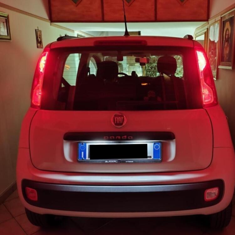 <strong>Luce Stop LED per Fiat Panda</strong> 312 2012 in poi. Coppia lampade <strong>P21/5W</strong> modello Bolt canbus.