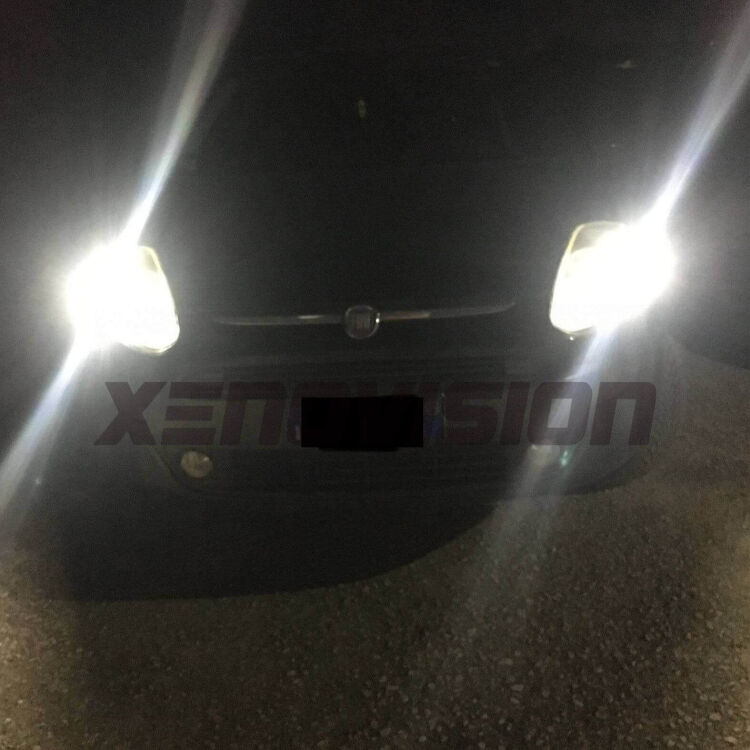  Fiat Punto Evo 2011 